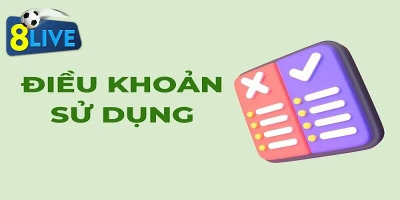 Quyền lợi và nghĩa vụ người dùng trong điều khoản