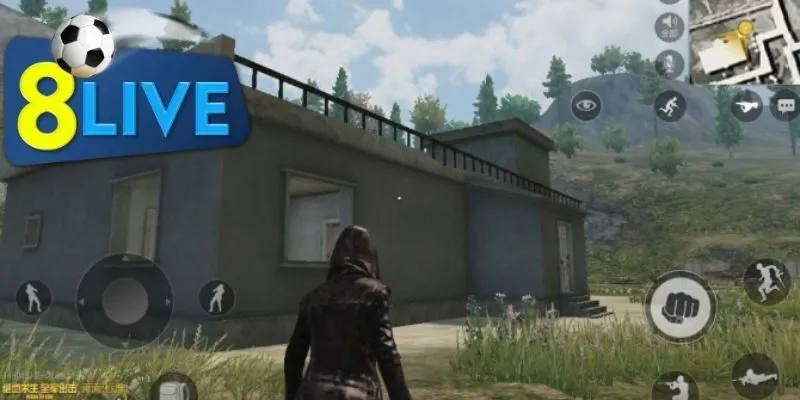 Các hình thức đặt cược phổ biến trong PUBG